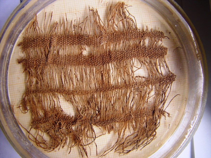 Tìm về trang phục thời Đông Sơn (kỳ 2): Truy tìm cội nguồn nguyên liệu vải sợi Đông Sơn - Ảnh 3.