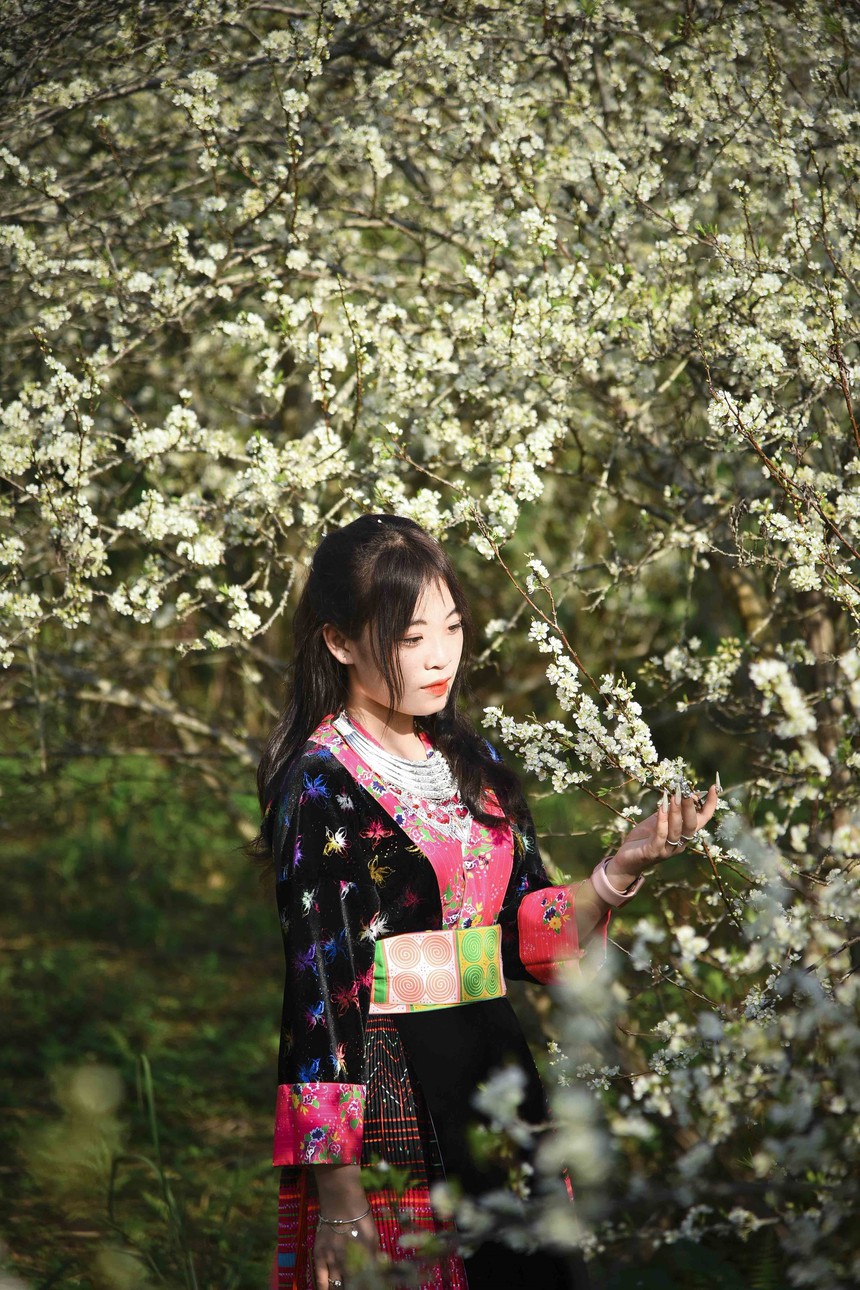 Xây dựng Điện Biên thành trung tâm du lịch của Tiểu vùng Tây Bắc * Bài 1: 'Kho báu' nơi đại ngàn - Ảnh 3.