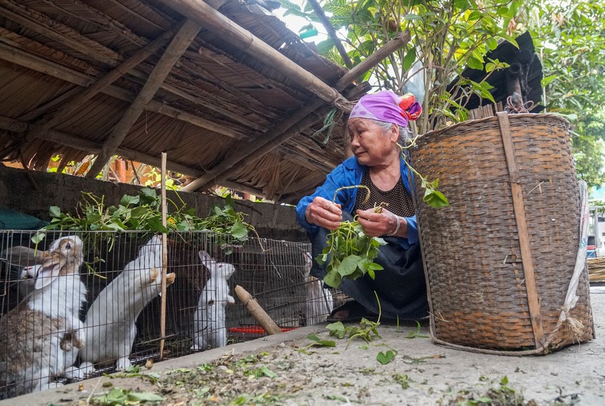 Cuộc đời sau ống kính: Bà mế Mai Châu - Ảnh 3. Cuộc đời sau ống kính: Bà mế Mai Châu - Ảnh 3.