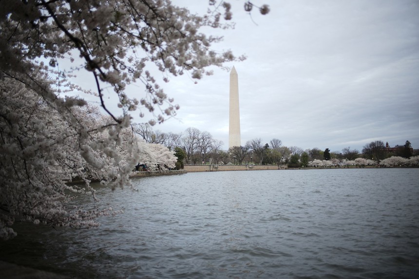 Mùa hoa anh đào hơn trăm năm tuổi tại thủ đô nước Mỹ - Ảnh 6.