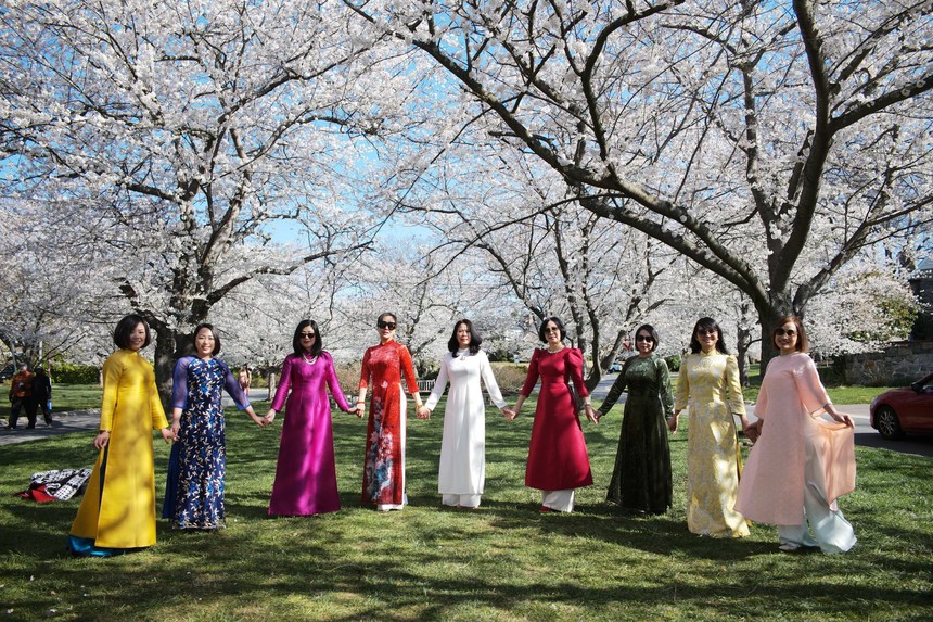 Mùa hoa anh đào hơn trăm năm tuổi tại thủ đô nước Mỹ - Ảnh 8.