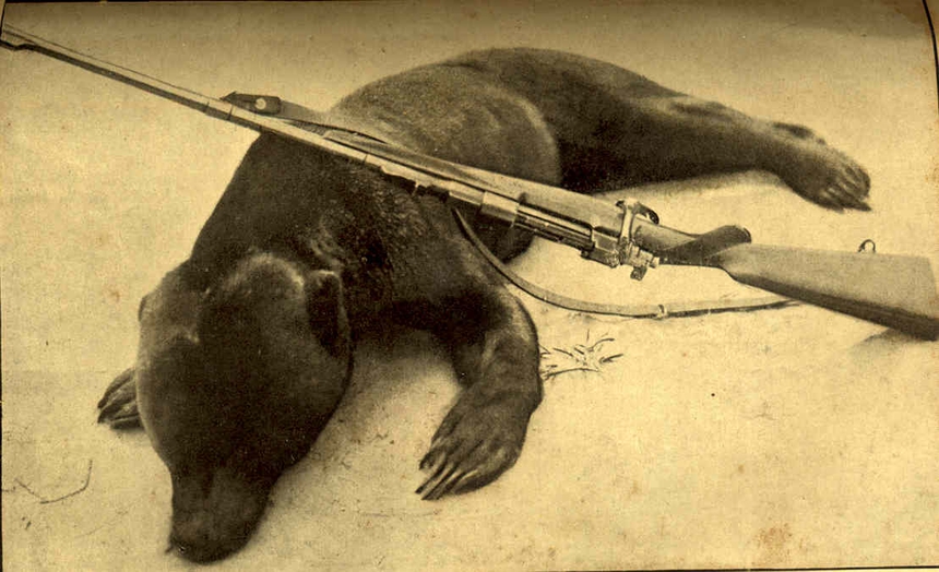 Ảnh = Ký ức = Lịch sử (kỳ 96): Từng là một 'thiên đường săn bắn' của giới thực dân?! - Ảnh 10.