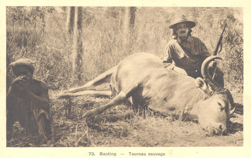 Ảnh = Ký ức = Lịch sử (kỳ 96): Từng là một 'thiên đường săn bắn' của giới thực dân?! - Ảnh 8.