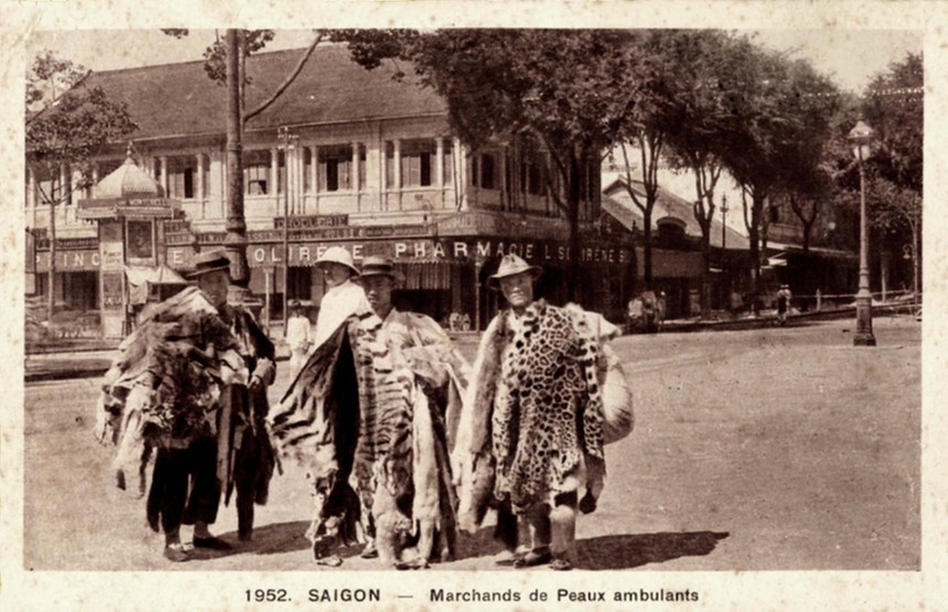 Ảnh = Ký ức = Lịch sử (kỳ 96): Từng là một 'thiên đường săn bắn' của giới thực dân?! - Ảnh 22.