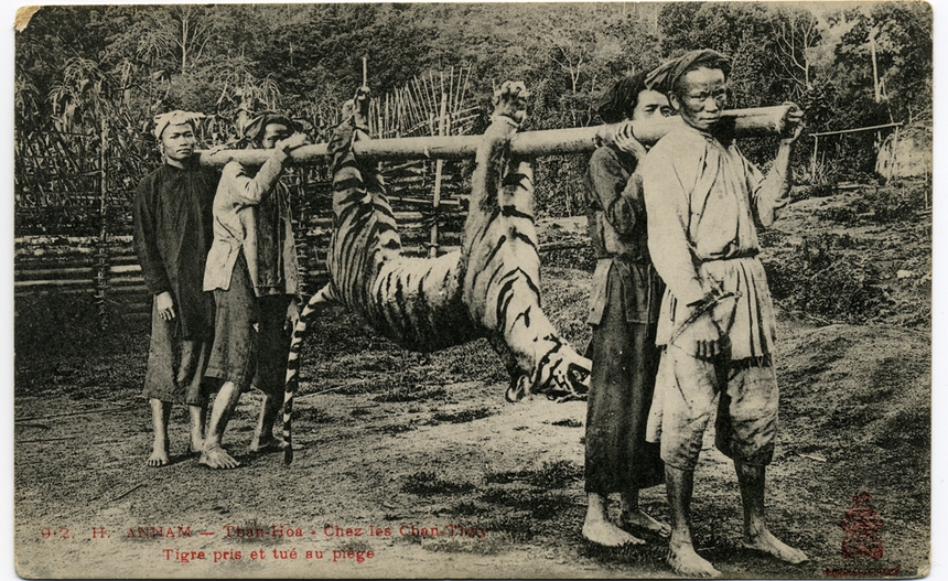 Ảnh = Ký ức = Lịch sử (kỳ 96): Từng là một 'thiên đường săn bắn' của giới thực dân?! - Ảnh 1.