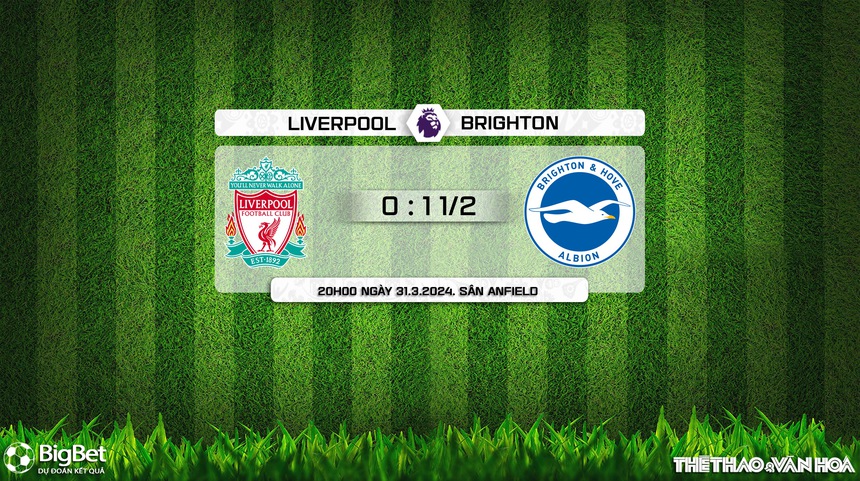 Nhận định bóng đá Liverpool vs Brighton (20h00, 31/3), Ngoại hạng Anh vòng 30 - Ảnh 8.