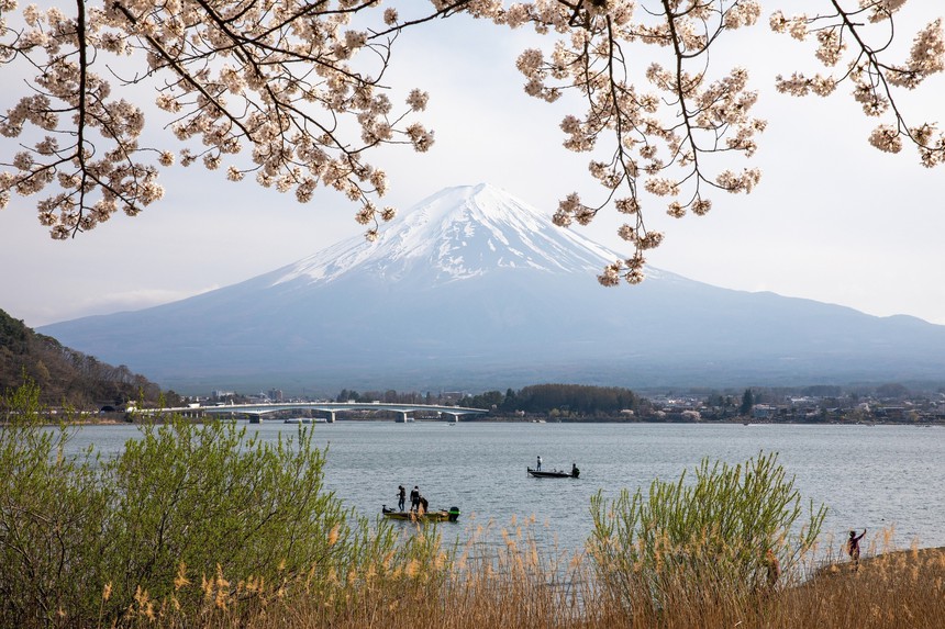 Chiêm ngưỡng vẻ đẹp của hoa anh đào và núi Phú Sỹ tại hồ Kawaguchi - Ảnh 7.