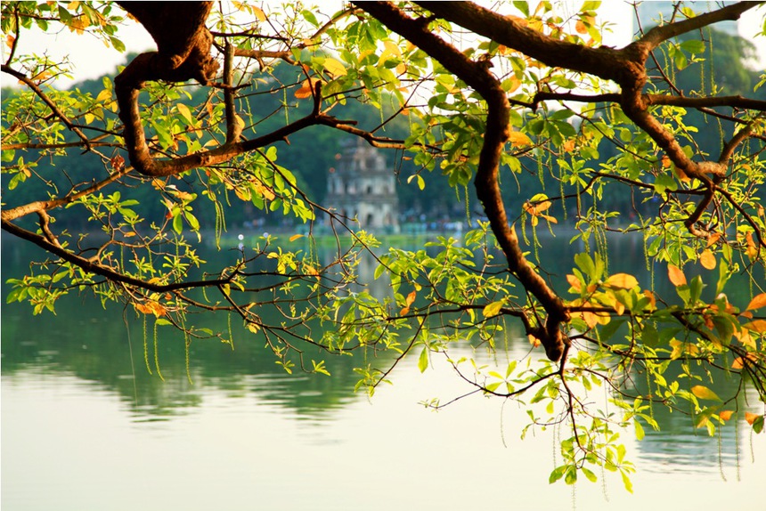 Hà Nội nền nhiệt tăng mạnh - Ảnh 1. Hà Nội nền nhiệt tăng mạnh - Ảnh 1.