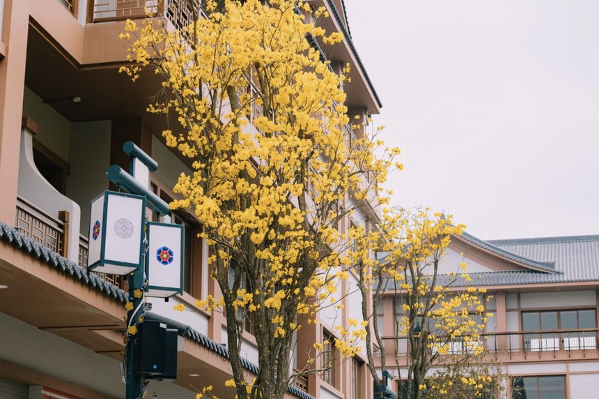 Điểm nhấn kiến trúc của Phố Hàn sang - xịn - mịn nhất tại bờ Đông - Ảnh 1.