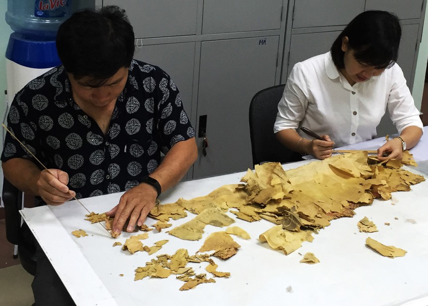 'Hồi sinh ký ức' từ phục chế tư liệu (kỳ 1): Khi Châu bản bị 'đóng cục như gỗ' - Ảnh 1.