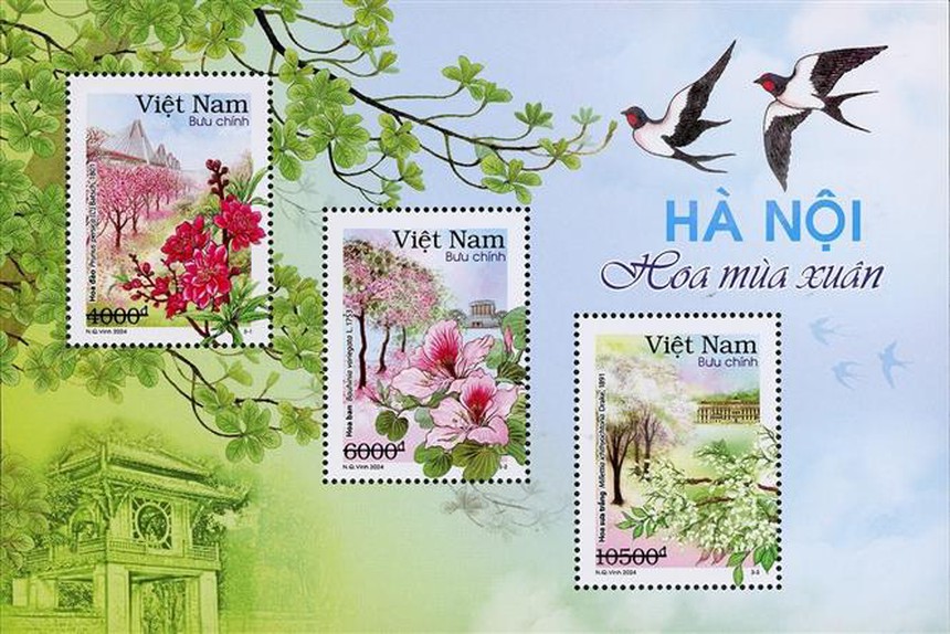 Khắc họa Hà Nội đẹp như tranh với những mùa hoa - Ảnh 1.