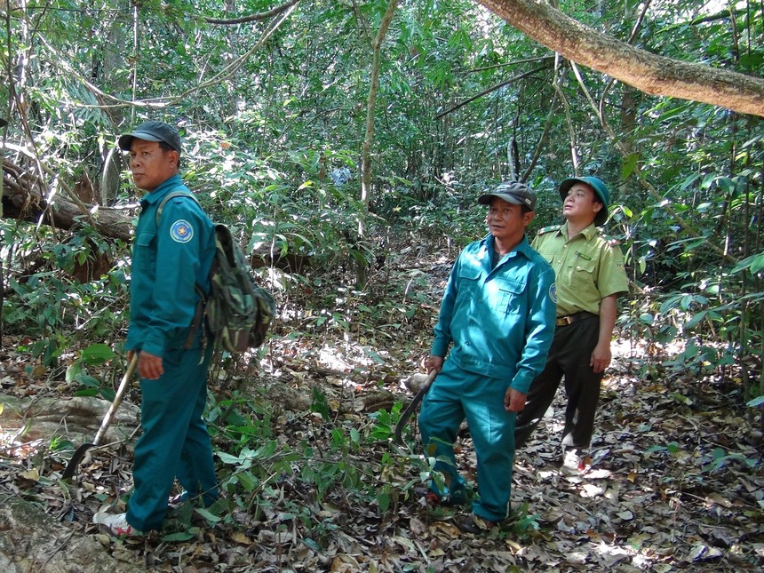 Nắng nóng gay gắt, chủ động các phương án phòng cháy, chữa cháy rừng - Ảnh 1.