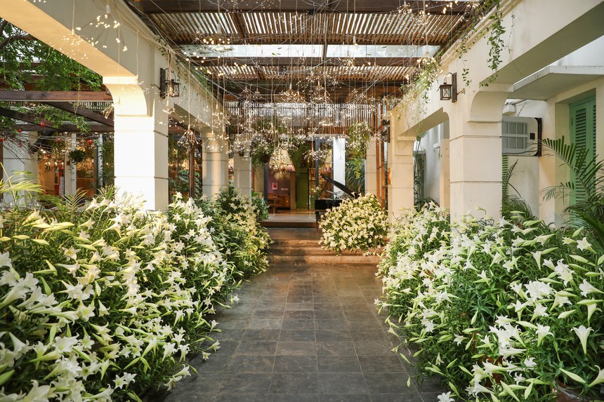 "Con đường hoa loa kèn" lãng mạn thu hút thực khách ở Hà Nội - Ảnh 1.