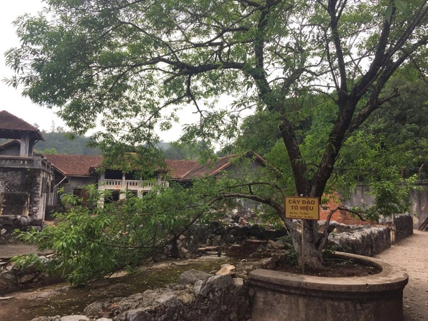 Văn nghệ sỹ hành hương về nguồn 'Qua miền Tây Bắc - Về với Điện Biên' - Ảnh 2.