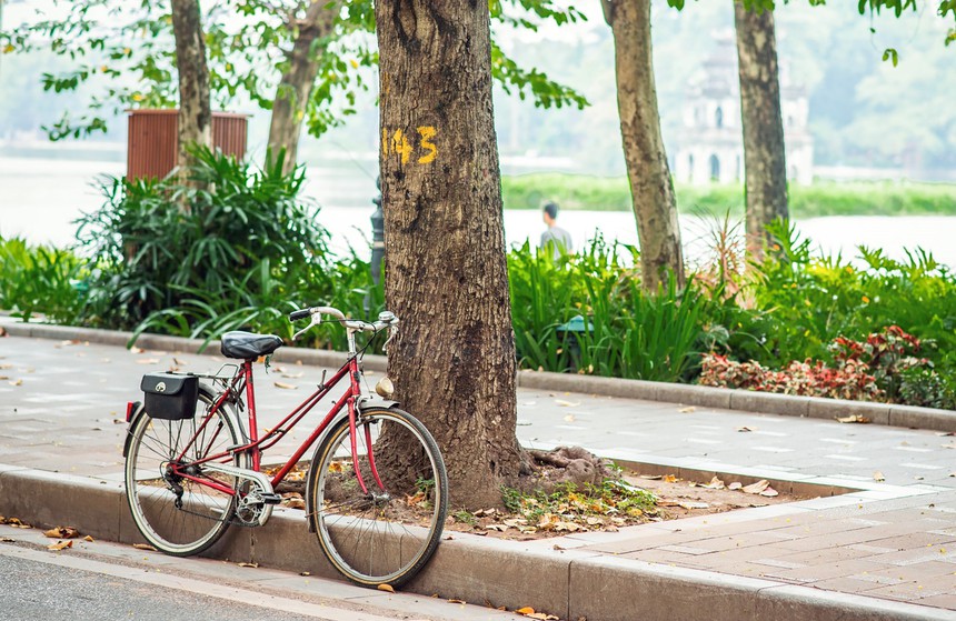 Cuộc đời sau ống kính: Xe đạp ơi… - Ảnh 4.