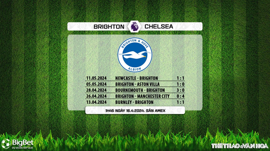Nhận định bóng đá Brighton vs Chelsea (01h45, 16/5), đá bù vòng 34 Ngoại hạng Anh - Ảnh 7. Nhận định bóng đá Brighton vs Chelsea (01h45, 16/5), đá bù vòng 34 Ngoại hạng Anh - Ảnh 7.