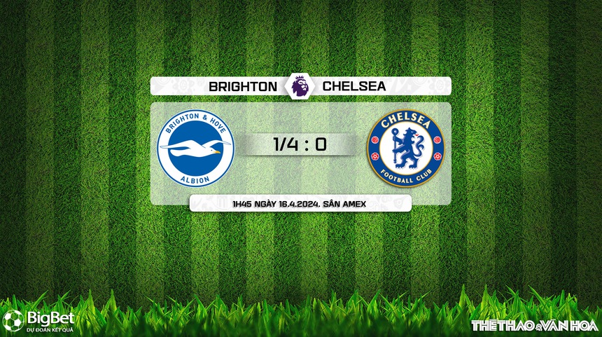 Nhận định bóng đá Brighton vs Chelsea (01h45, 16/5), đá bù vòng 34 Ngoại hạng Anh - Ảnh 3. Nhận định bóng đá Brighton vs Chelsea (01h45, 16/5), đá bù vòng 34 Ngoại hạng Anh - Ảnh 3.