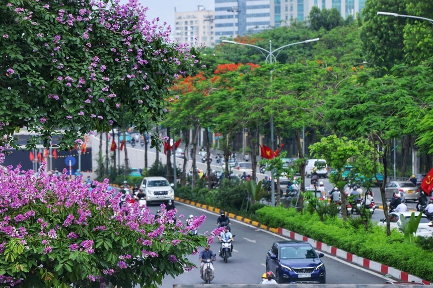 Hà Nội khoác lên mình mùa hoa tháng 5 - Ảnh 12.