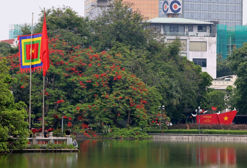 Hà Nội khoác lên mình mùa hoa tháng 5 - Ảnh 3.