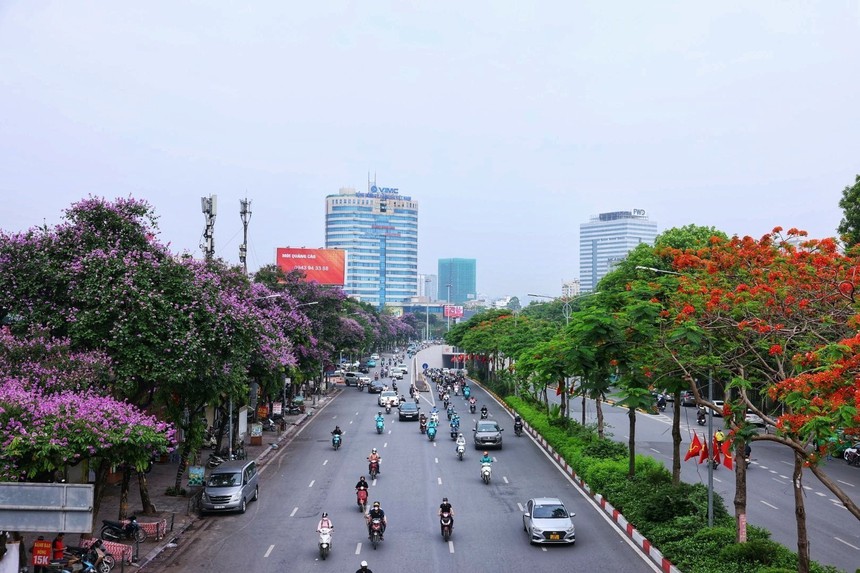 Hà Nội khoác lên mình mùa hoa tháng 5 - Ảnh 2.