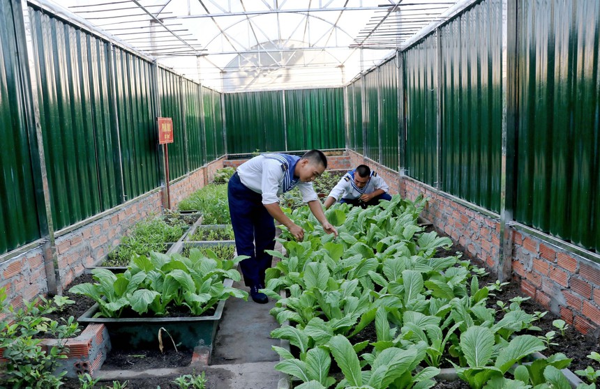 Biển đảo Việt Nam: Bình yên Trường Sa - Ảnh 11.