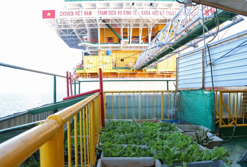 Biển đảo Việt Nam: Bình yên Trường Sa - Ảnh 10.