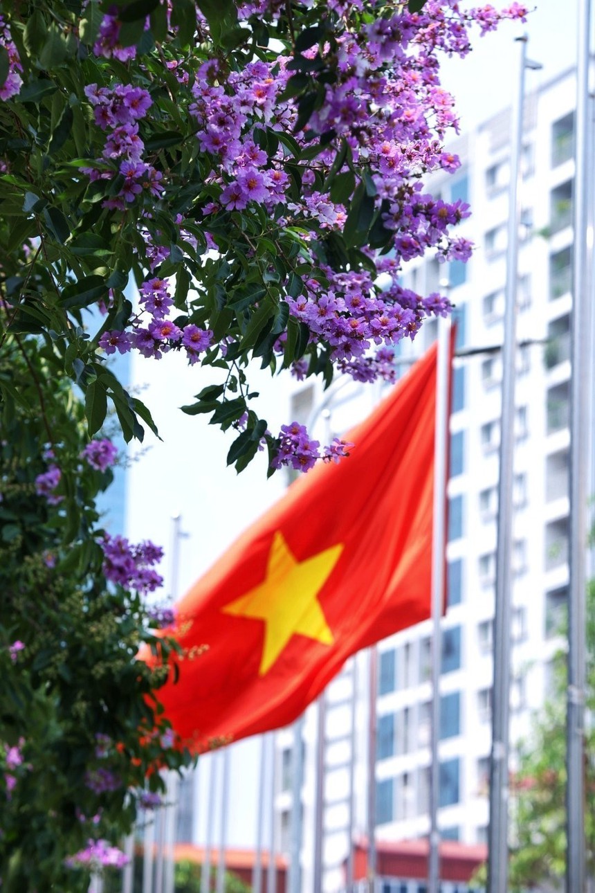 Hà Nội khoác lên mình mùa hoa tháng 5 - Ảnh 1.