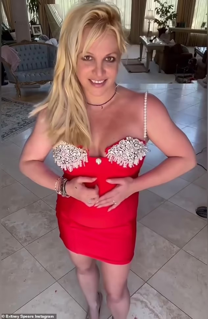 Britney Spears đang 'thổi bay' khối tài sản trị giá 60 triệu USD? - Ảnh 1.