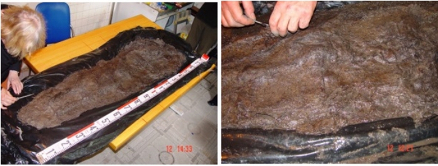 Tìm về trang phục thời Đông Sơn (kỳ 7): Phục trang Đông Sơn - tìm từ mộ táng - Ảnh 4.