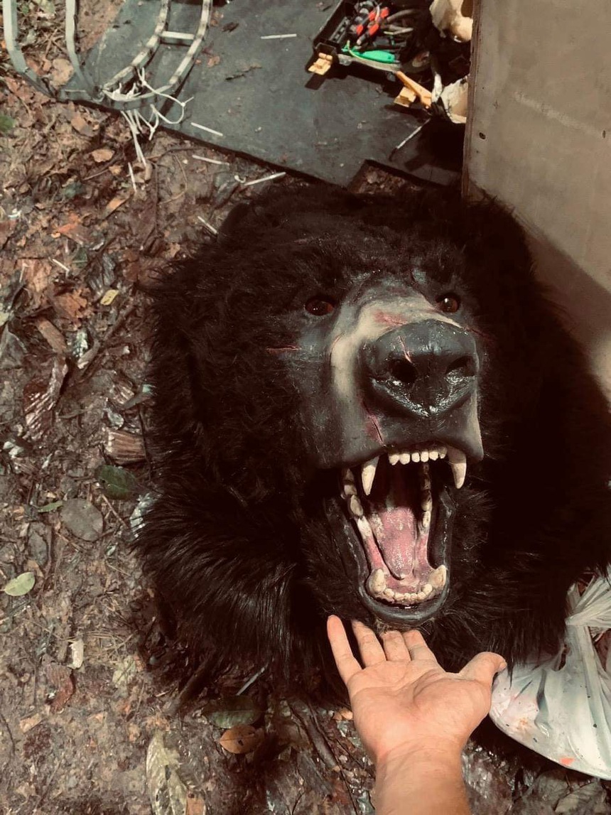 Giật mình khi gấu của 'Móng vuốt' xuất hiện ngay trên đường phố - Ảnh 3.