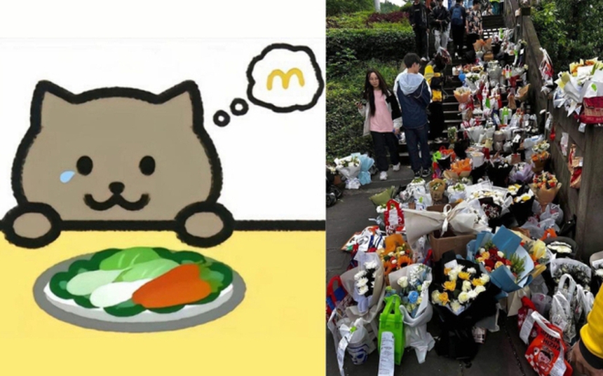 Bí mật vụ việc Mèo Béo: Kết quả điều tra công bố khiến dư luận dậy sóng - Ảnh 2. Bí mật vụ việc Mèo Béo: Kết quả điều tra công bố khiến dư luận dậy sóng - Ảnh 2.