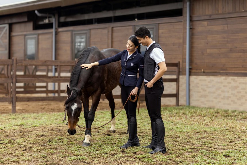 1.001 lý do Vinhomes Royal Island trở thành "điểm phải đến" mùa hè này tại thành phố Cảng - Ảnh 6.