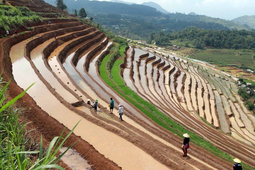 Lai Châu mùa nước đổ - Ảnh 10.