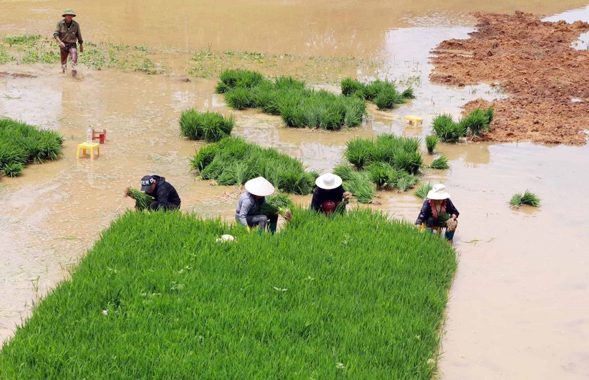 Lai Châu mùa nước đổ - Ảnh 7.