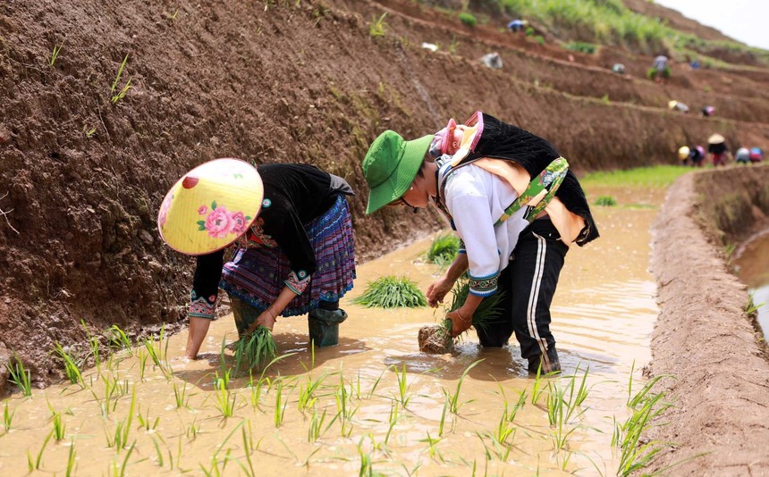 Lai Châu mùa nước đổ - Ảnh 9.