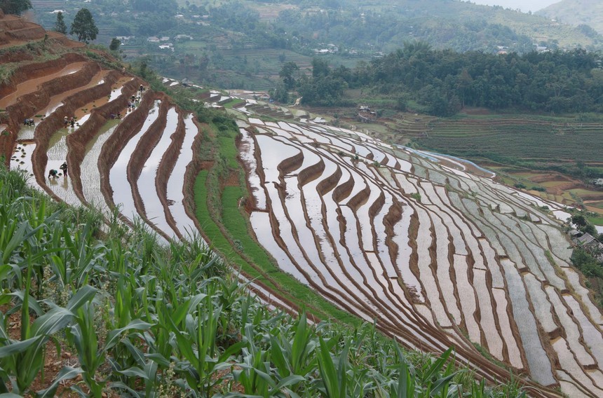 Lai Châu mùa nước đổ - Ảnh 3.