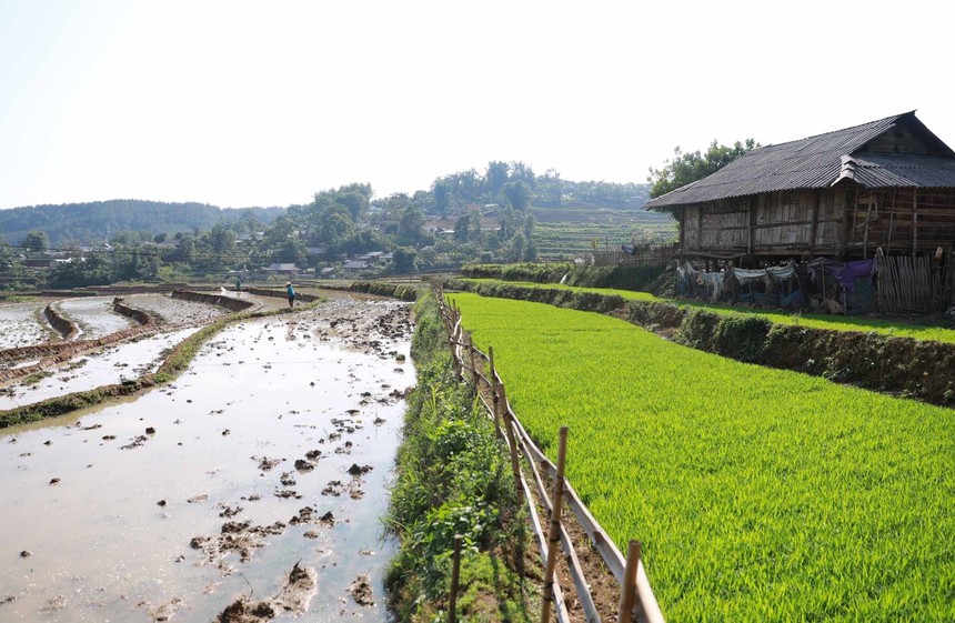 Lai Châu mùa nước đổ - Ảnh 4.