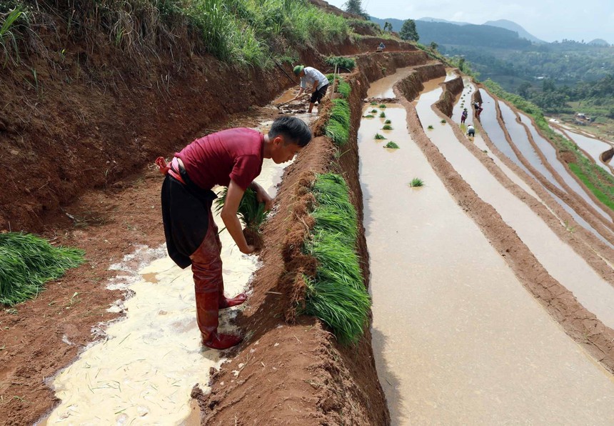 Lai Châu mùa nước đổ - Ảnh 8.