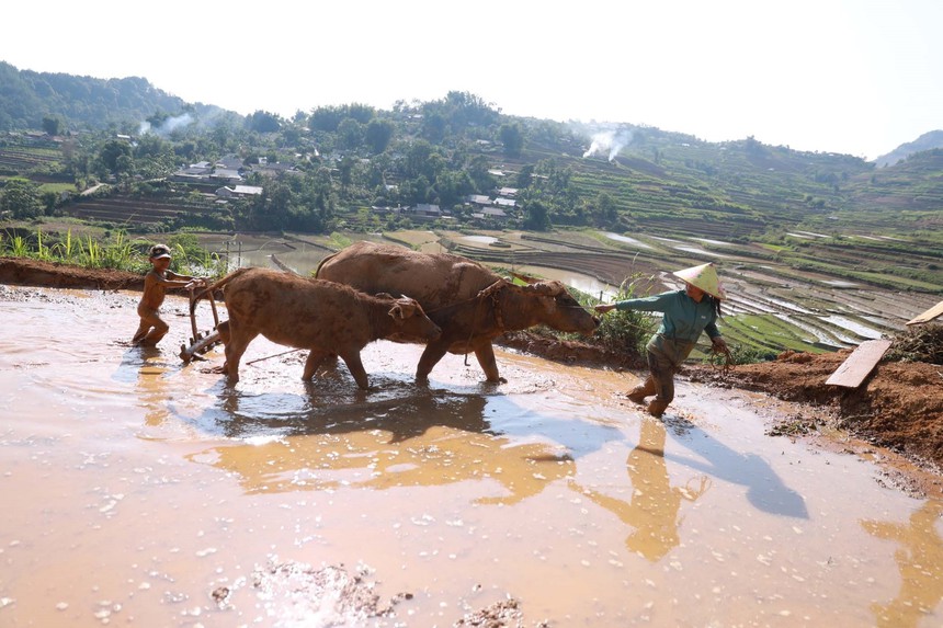 Lai Châu mùa nước đổ - Ảnh 6.