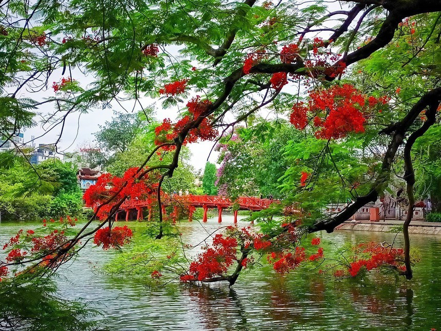 Thủ đô Hà Nội ngày nắng nóng, có nơi trên 36 độ C - Ảnh 1.