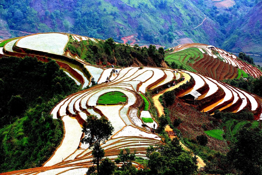 Ruộng bậc thang ở xã Xím Vàng (Sơn La) - Ảnh 2.