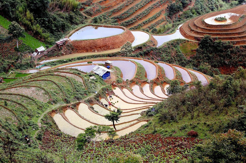 Ruộng bậc thang ở xã Xím Vàng (Sơn La) - Ảnh 3.