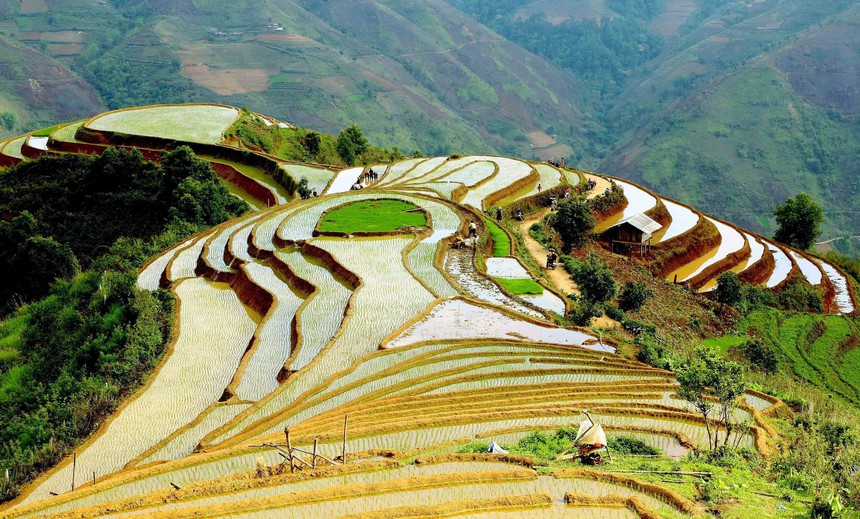 Ruộng bậc thang ở xã Xím Vàng (Sơn La) - Ảnh 7.