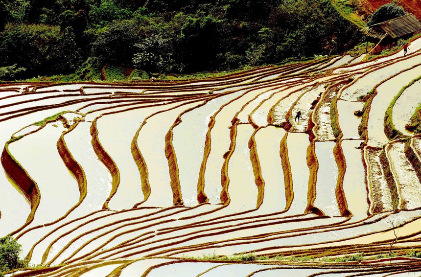 Ruộng bậc thang ở xã Xím Vàng (Sơn La) - Ảnh 6.