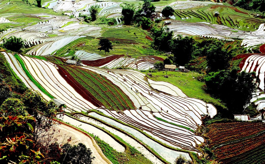 Ruộng bậc thang ở xã Xím Vàng (Sơn La) - Ảnh 1.