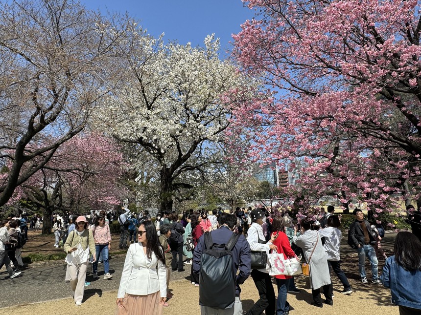 Xu hướng tìm kiếm những điểm đến du lịch mới tại Nhật Bản - Ảnh 2.