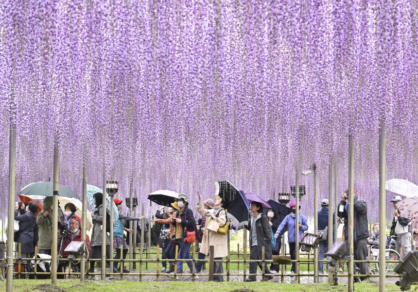 Điểm danh những điểm đến du lịch mới tại Nhật Bản - Ảnh 2.