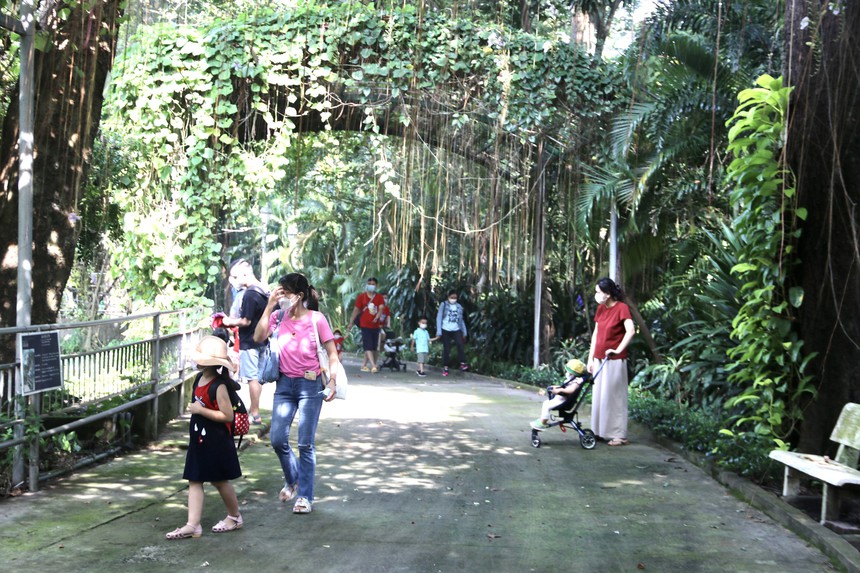 Chào tuần mới: Mảng xanh giữa nắng nóng - Ảnh 1. Chào tuần mới: Mảng xanh giữa nắng nóng - Ảnh 1.