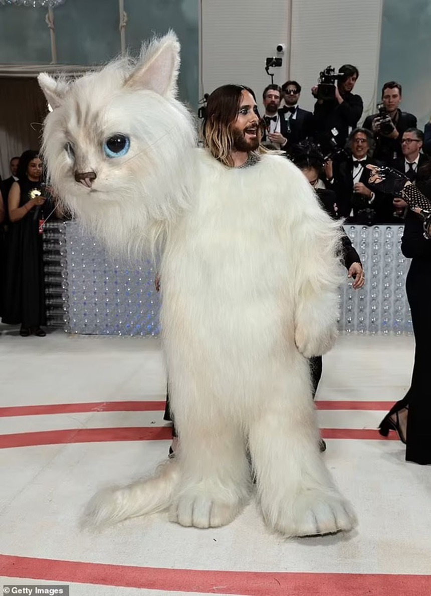 Những 'thảm họa' trang phục trên thảm đỏ Met Gala nhiều năm qua - Ảnh 8.