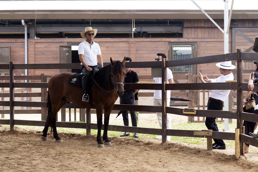 Choáng ngợp với màn ra mắt của Học viện cưỡi ngựa đầu tiên tại Việt Nam trên đảo Vũ Yên - Ảnh 9. Choáng ngợp với màn ra mắt của Học viện cưỡi ngựa đầu tiên tại Việt Nam trên đảo Vũ Yên - Ảnh 9.